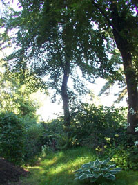 FEWO Thiele - im Garten